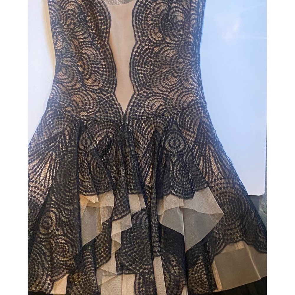 BCBGMAXAZRIA Black & Nude Lace Dress